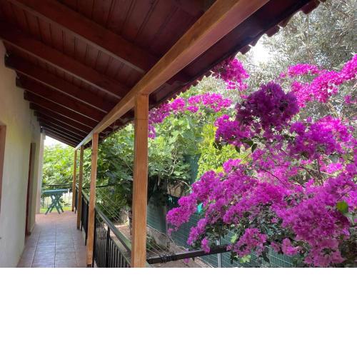 Ideal Cottage Holidays-Ιδανικές Εξοχικές Διακοπές