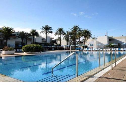 Ideal holiday apartment in the south of Tenerife