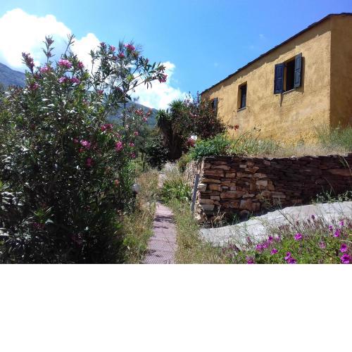 Ikarian Centre - Accommodation & mountain hiking