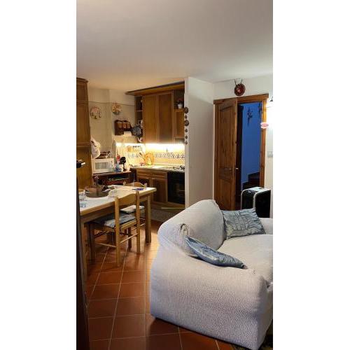 Il bucaneve