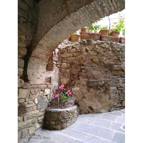 Il Bucataio