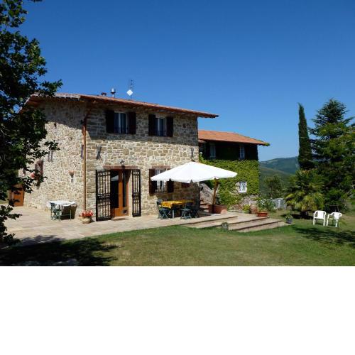 Il canto dell'asino