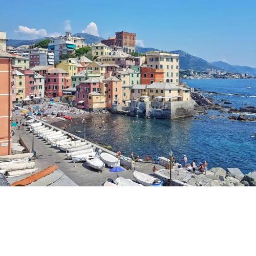 Il ciliegio di Miki
