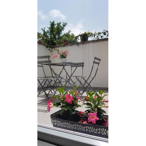 Il Cortile Segreto