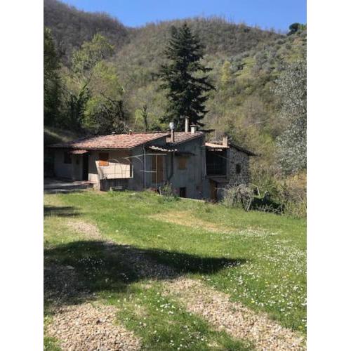 Il cuore nel bosco