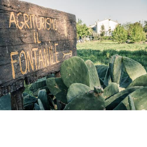 Il Fontanile