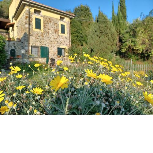 Il Fontolo
