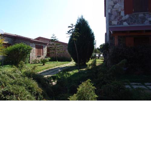 Il Gabbiano