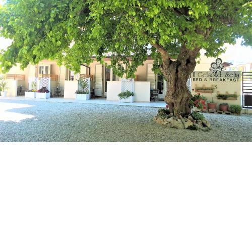 Il Gelso di Sofia B&B