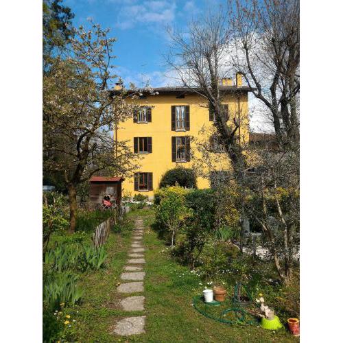 Il Gelsomino
