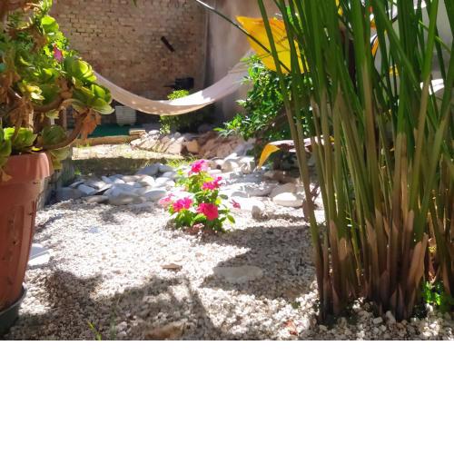 Il giardino degli Ulivi house