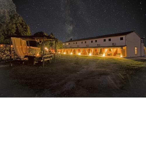 Il giardino degli ulivi