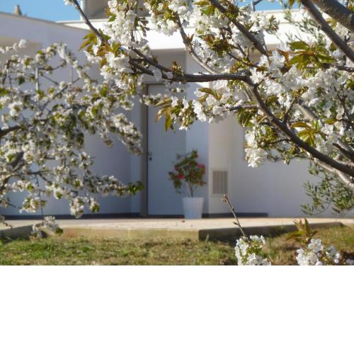 Il Giardino dei Ciliegi - Turi