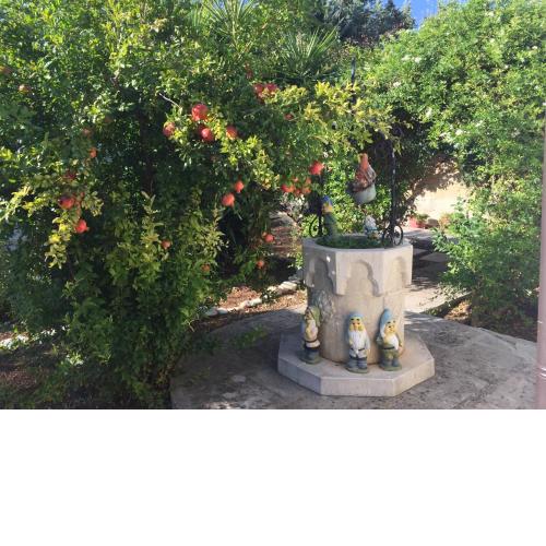 Il Giardino della Foglia