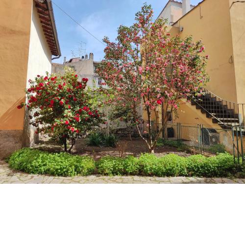 Il Giardino delle Camelie