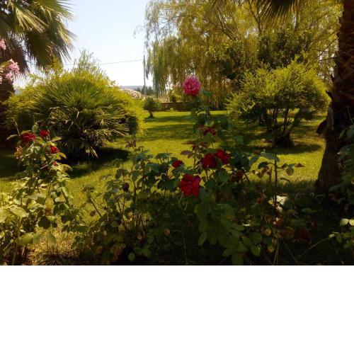 Il Giardino delle Rose A