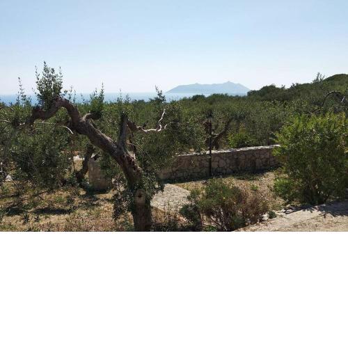 Il giardino di Mary
