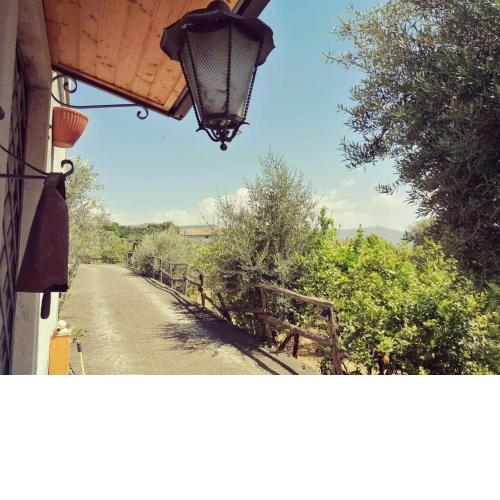Il giardino di Stelle