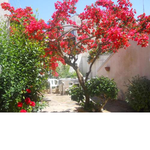 il giardino fiorito, colori e profumi a due passi dal mare