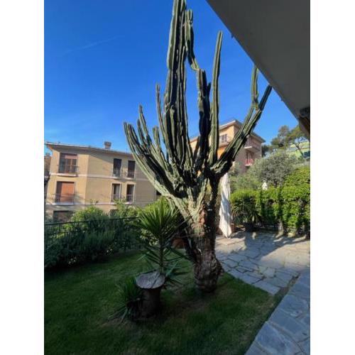 Il giardino sul mare