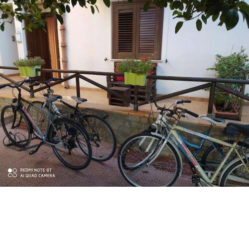 IL GIRASOLE Casa Vacanze