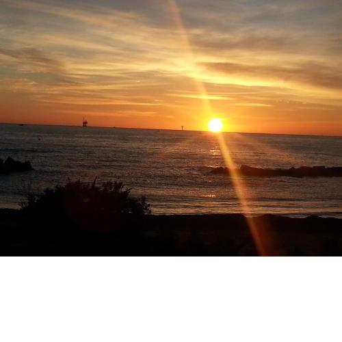 Il Girasole