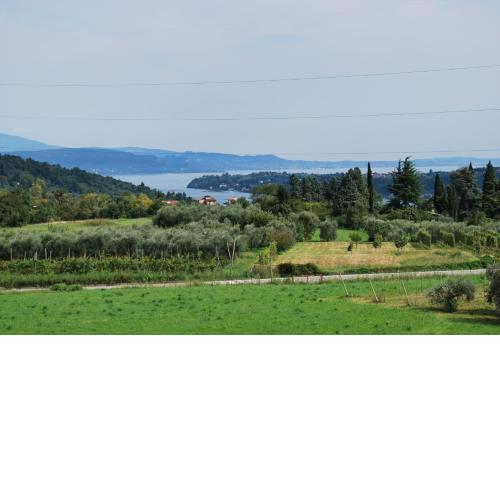 Il Melograno Apartament