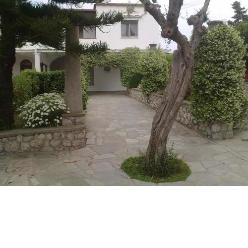 Il Merlo