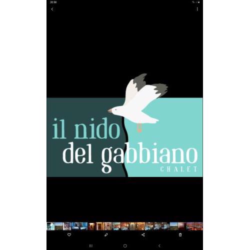 Il Nido del Gabbiano - Riviera Adriatica