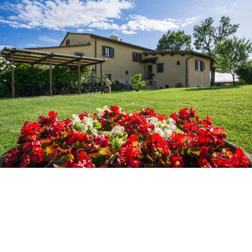 Il Nido di Gabbiano