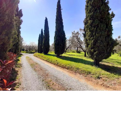 Il Palagio