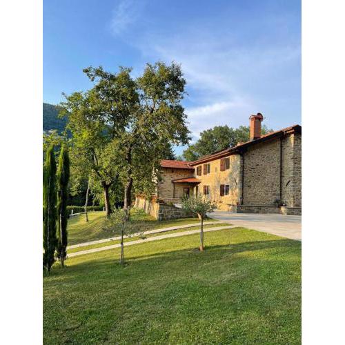 Il paradiso delle beccacce
