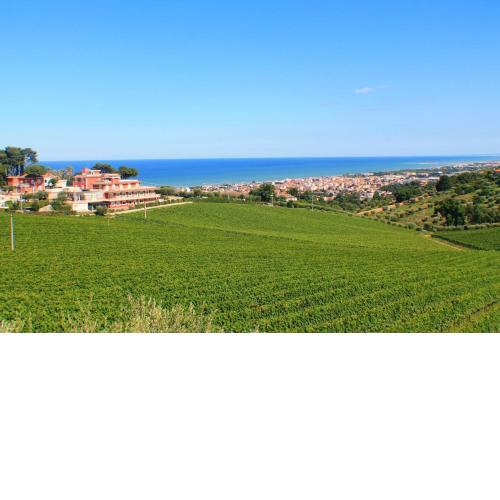 Il Parco Sul Mare Resort & SPA