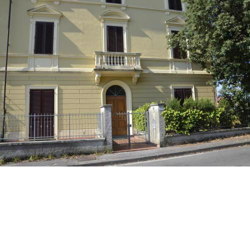 Il Pettirosso