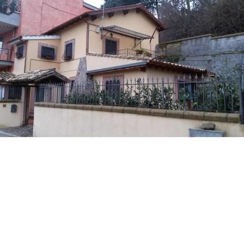 Il Pettirosso