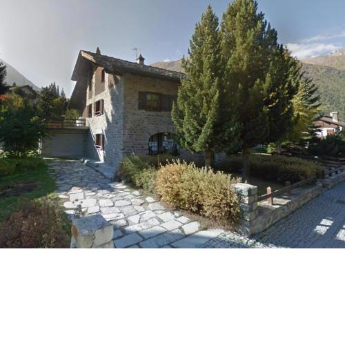 Il Pino Cembro