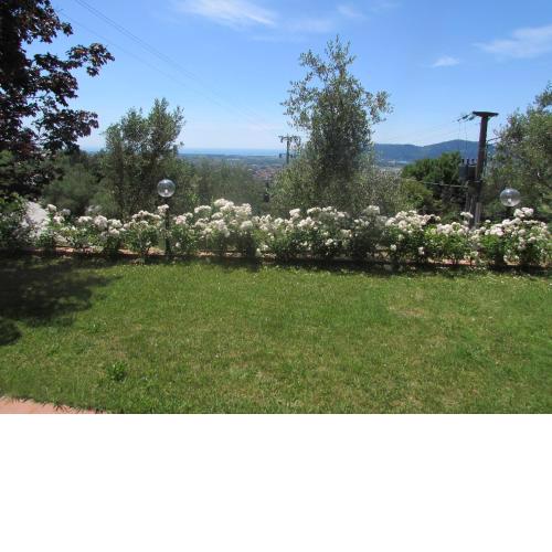 Il Porredo - seaview cottage with garden, terrace and patio - Fosdinovo