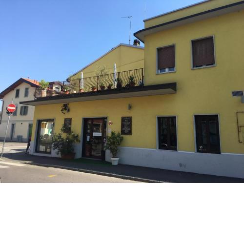 Il Ragno D`Oro