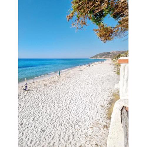Il Richiamo del Mare