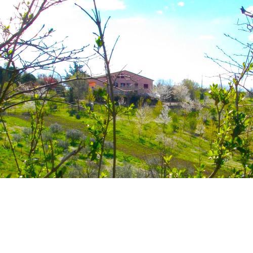 Il Rifugio dell'Ape Agriturismo