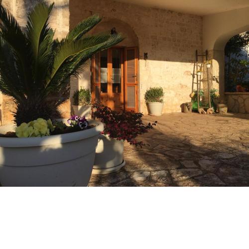 Il Trullo del Lazzeruolo
