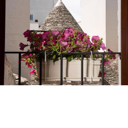 Il Trullo Moore Alberobello