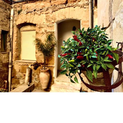 Il Vecchio Cortile