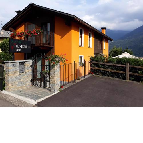 Il Vigneto