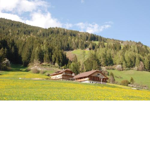 Im Kranzhof