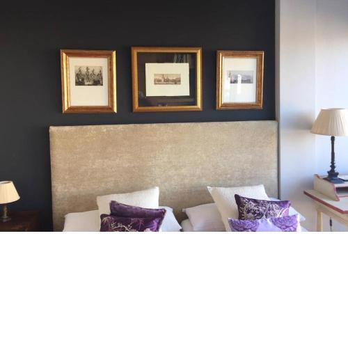 IMAGEN SUITE