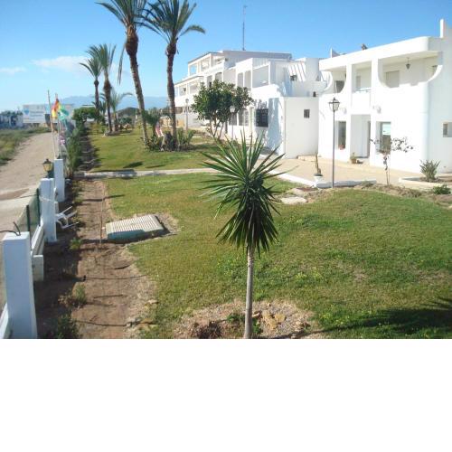 impressive apartment in ground floor with terrace of two rooms pool num7301