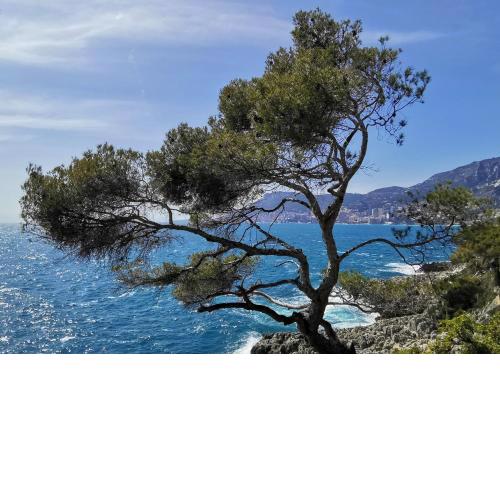 Incantevole Bungalow indipendente a due passi mare