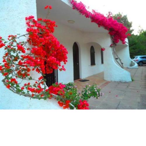 Indipendent villa at only 100 mt. from the beach