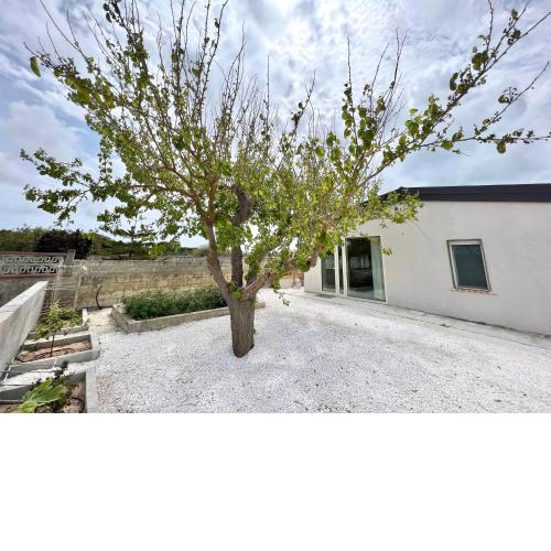 INTERA VILLA Lux A 40metri dal MARE Con VIALETTO PRIVATO SULLA SPIAGGIA